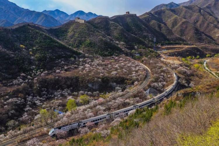 **结合传统文化与现代游戏的创新产品策略
** **结合传统文化与现代游戏的创新产品策略
**